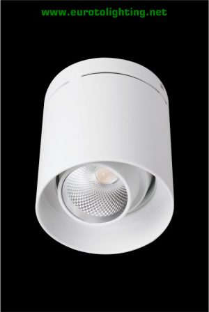 Đèn lon nổi Euroto LN-41 12W